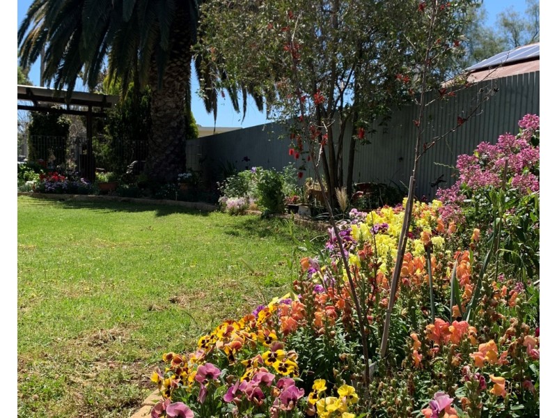 103 Wollamai Street, Finley NSW 2713