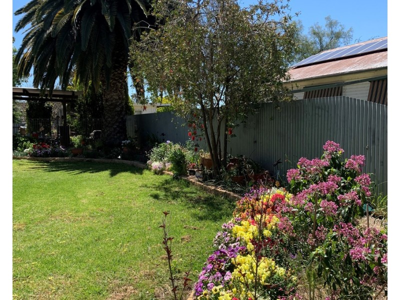 103 Wollamai Street, Finley NSW 2713