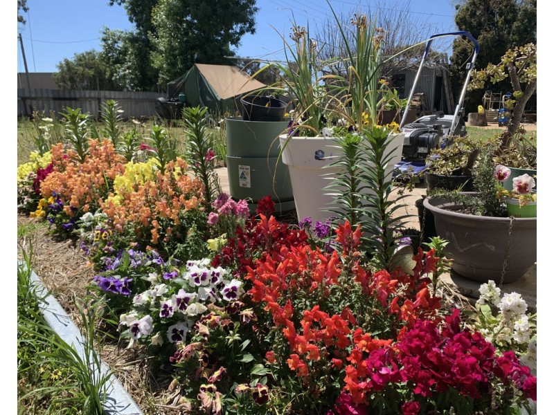 103 Wollamai Street, Finley NSW 2713