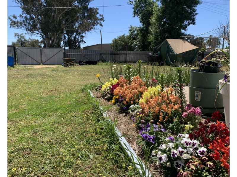 103 Wollamai Street, Finley NSW 2713