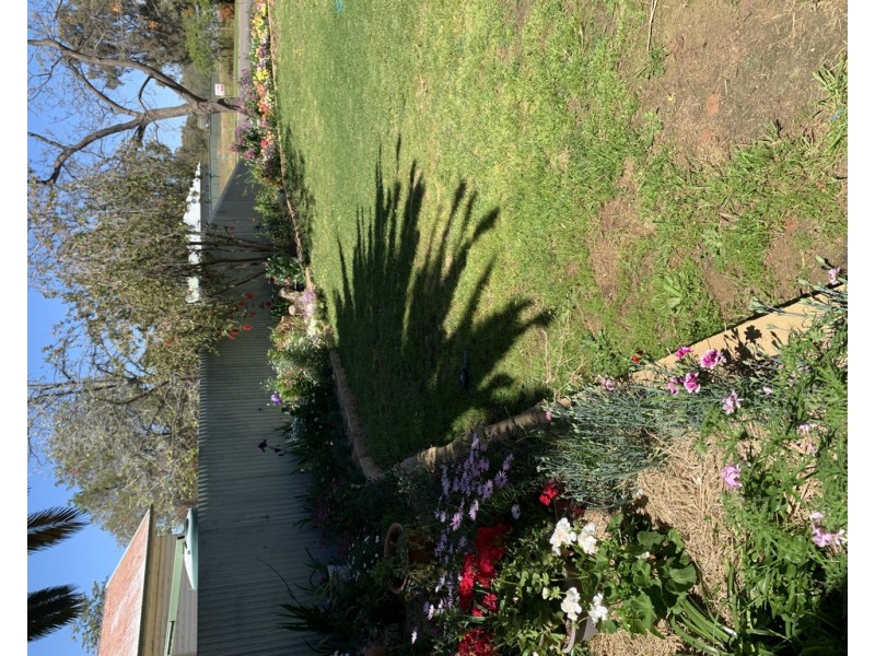 103 Wollamai Street, Finley NSW 2713