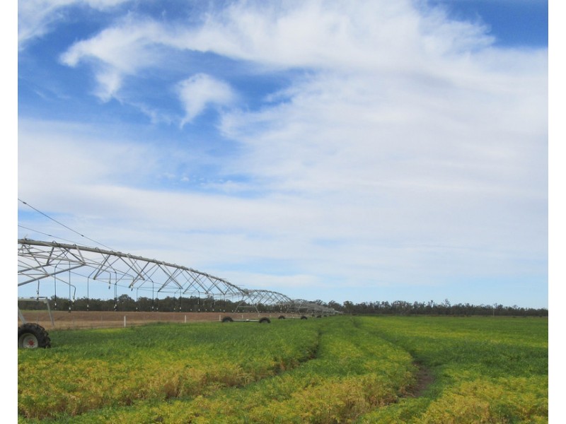 1383 Cobramunga Road, Swan Hill VIC 3585