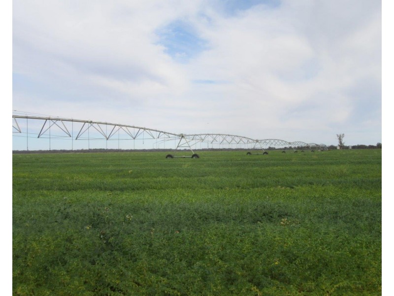 1383 Cobramunga Road, Swan Hill VIC 3585