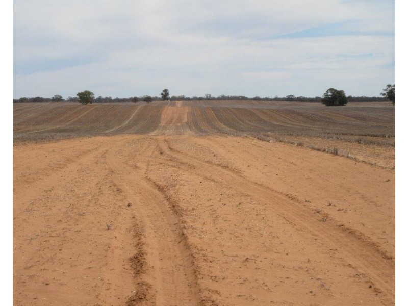 1383 Cobramunga Road, Swan Hill VIC 3585