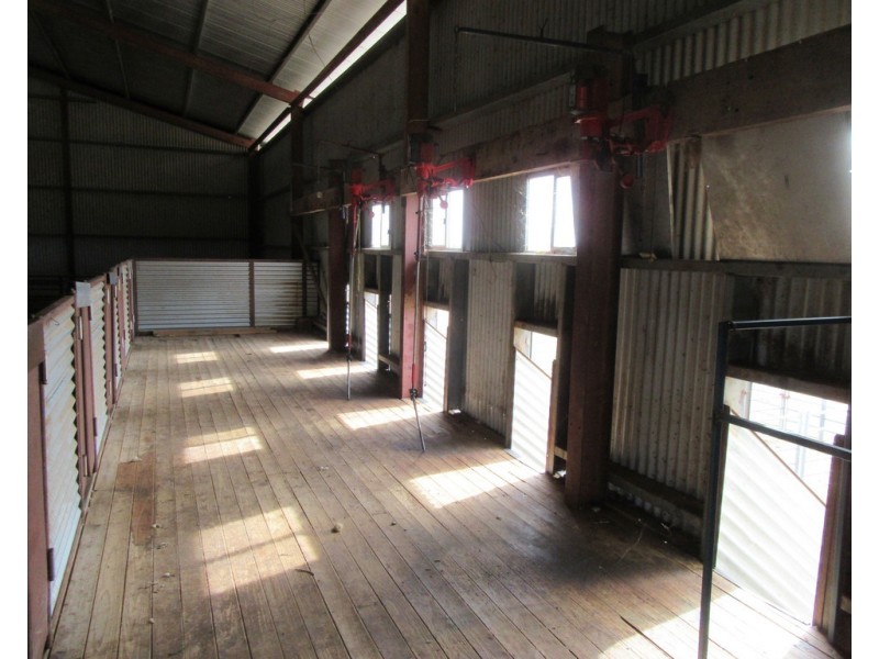 1383 Cobramunga Road, Swan Hill VIC 3585