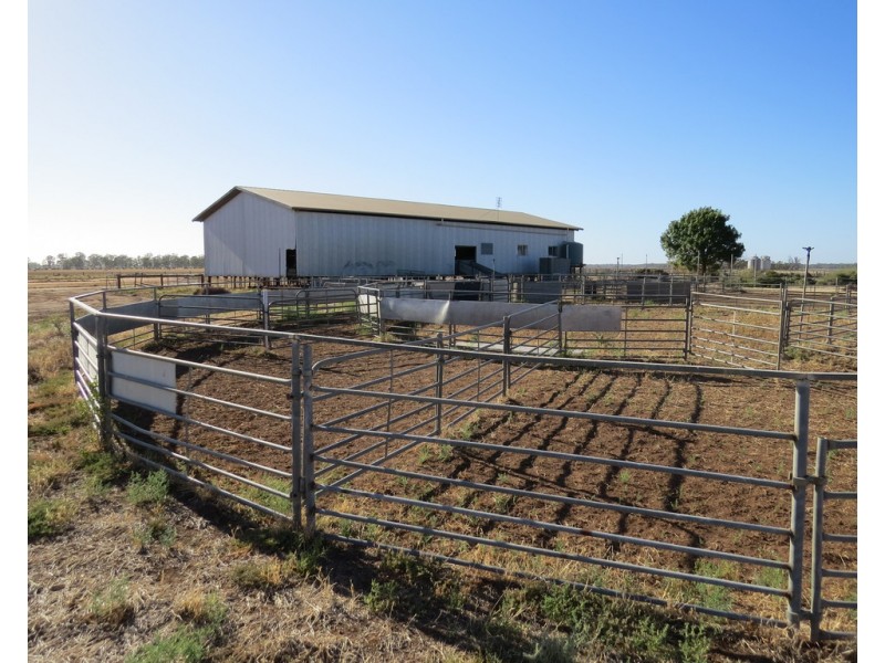 1383 Cobramunga Road, Swan Hill VIC 3585