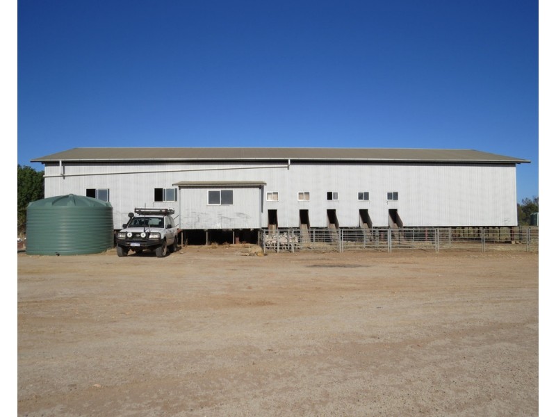 1383 Cobramunga Road, Swan Hill VIC 3585