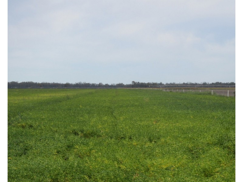 1383 Cobramunga Road, Swan Hill VIC 3585