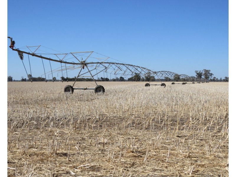 1383 Cobramunga Road, Swan Hill VIC 3585