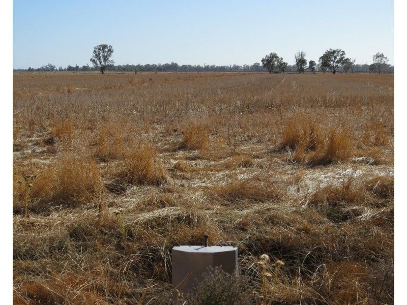 1383 Cobramunga Road, Swan Hill VIC 3585