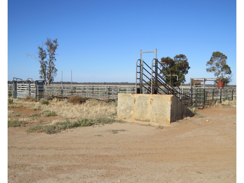 1383 Cobramunga Road, Swan Hill VIC 3585