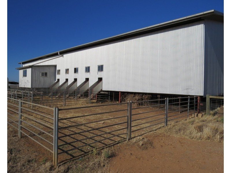 1383 Cobramunga Road, Swan Hill VIC 3585