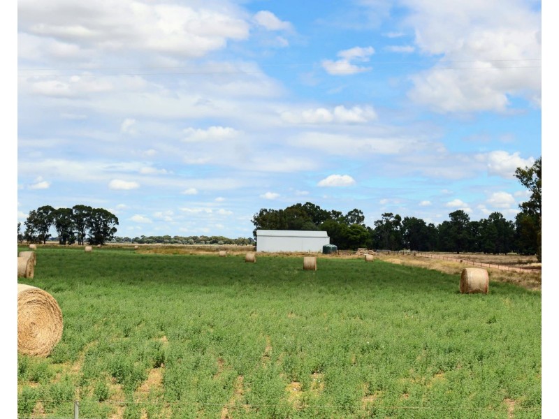 74 Pine Lodge Road, Tocumwal NSW 2714