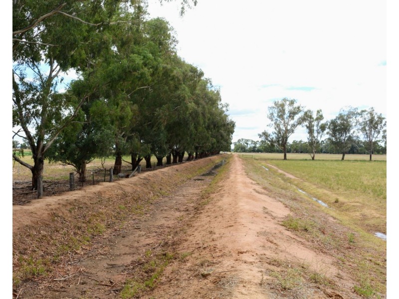 74 Pine Lodge Road, Tocumwal NSW 2714