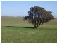 - N/ A Coursing Park Road, Wagga Wagga NSW 2650