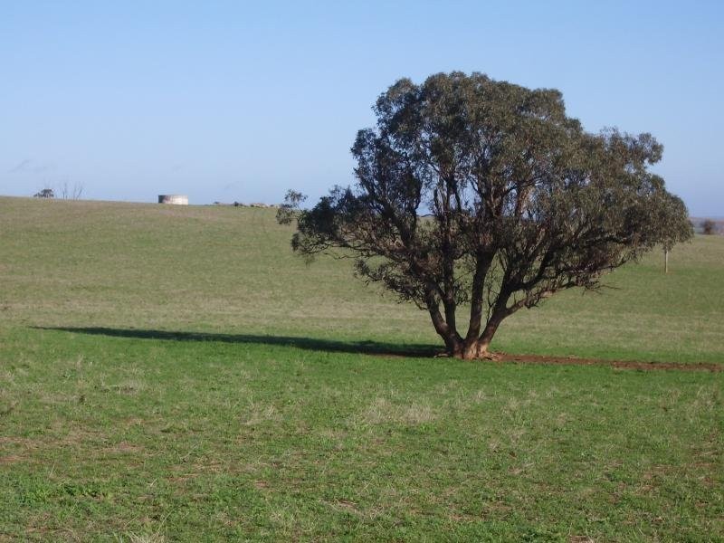 - N/ A Coursing Park Road, Wagga Wagga NSW 2650