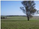 - N/ A Coursing Park Road, Wagga Wagga NSW 2650