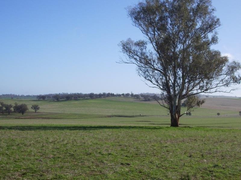 - N/ A Coursing Park Road, Wagga Wagga NSW 2650