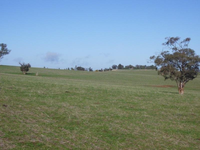 - N/ A Coursing Park Road, Wagga Wagga NSW 2650