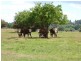 Lot 52 McDonald Street, Crookwell NSW 2583