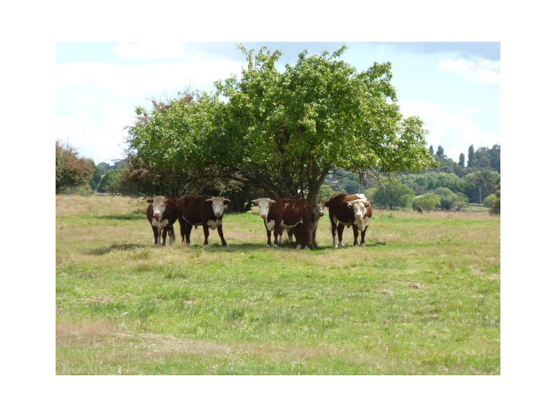 Lot 52 McDonald Street, Crookwell NSW 2583