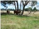 Lot 52 McDonald Street, Crookwell NSW 2583