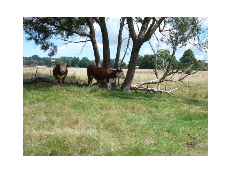 Lot 52 McDonald Street, Crookwell NSW 2583