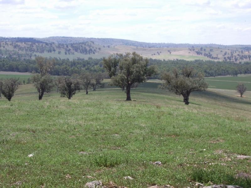 250 Wokolena Road, Wagga Wagga NSW 2650