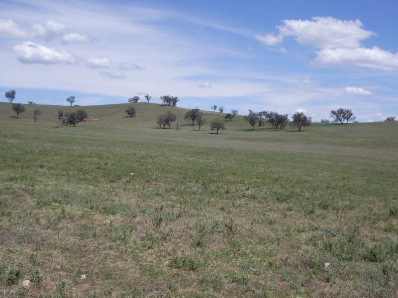 250 Wokolena Road, Wagga Wagga NSW 2650