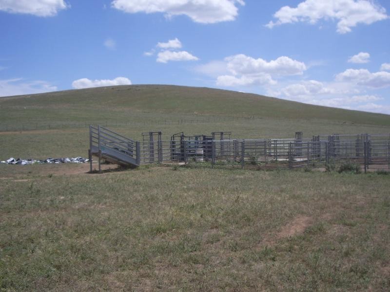 250 Wokolena Road, Wagga Wagga NSW 2650
