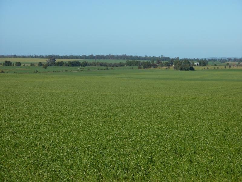 - N/ A Rannock Road, Coolamon NSW 2701