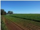 - N/ A Rannock Road, Coolamon NSW 2701