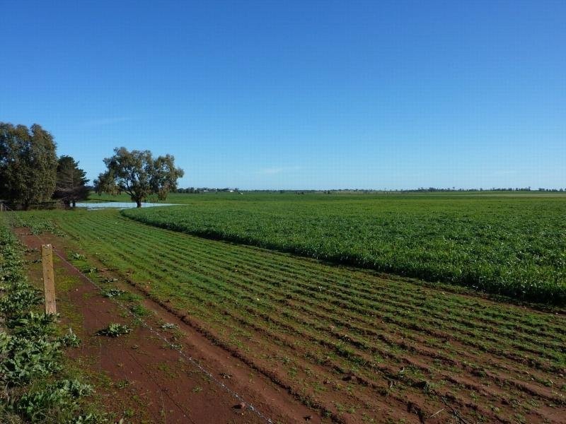 - N/ A Rannock Road, Coolamon NSW 2701