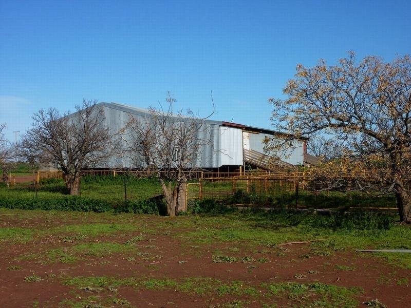 - N/ A Rannock Road, Coolamon NSW 2701