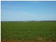 - N/ A Rannock Road, Coolamon NSW 2701