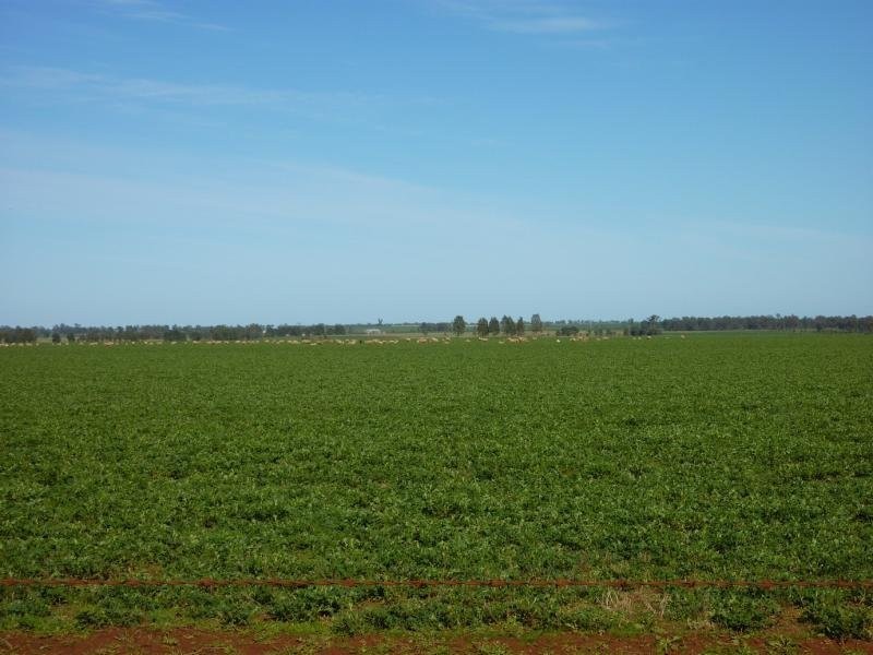 - N/ A Rannock Road, Coolamon NSW 2701
