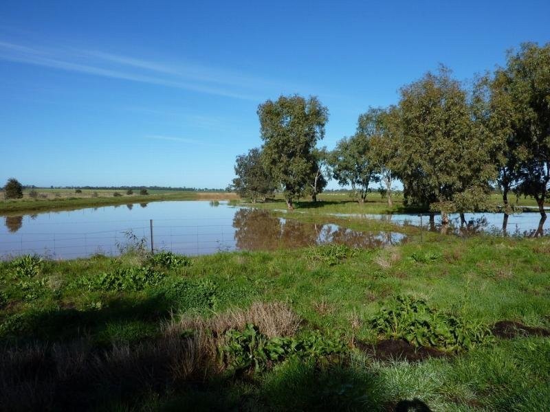 - N/ A Rannock Road, Coolamon NSW 2701