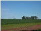 - N/ A Rannock Road, Coolamon NSW 2701