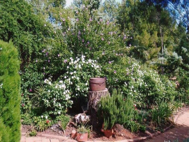 - N/ A Rannock Road, Coolamon NSW 2701