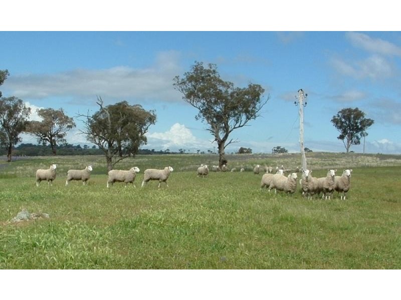 Young NSW 2594