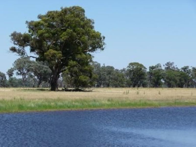 459 Bullers Road, Rutherglen VIC 3685