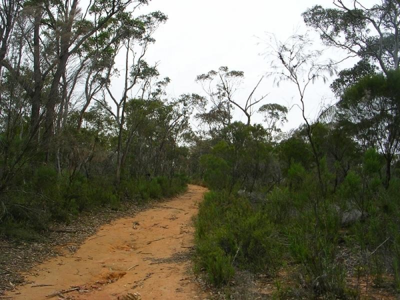 Greenethorpe NSW 2809