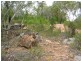 Greenethorpe NSW 2809