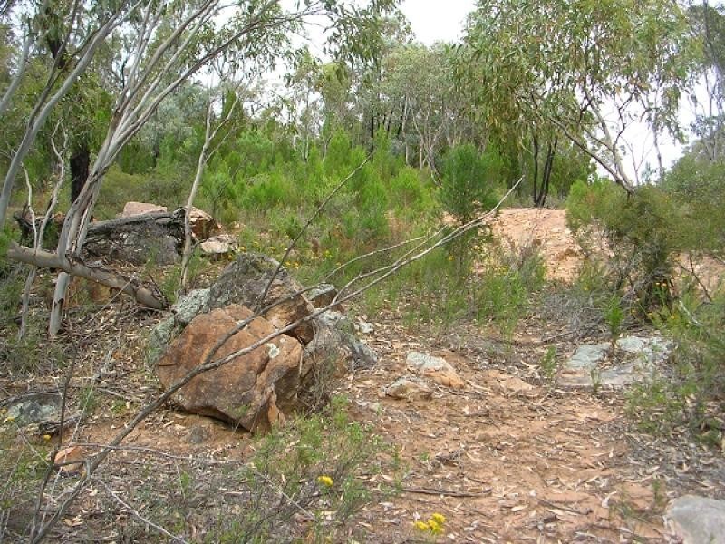 Greenethorpe NSW 2809