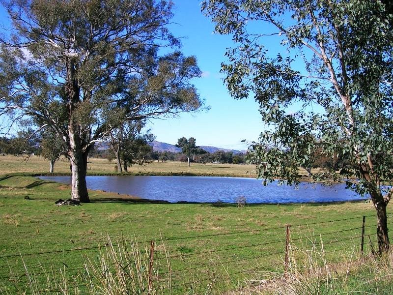 137 Frederic Street Road, Leneva VIC 3691