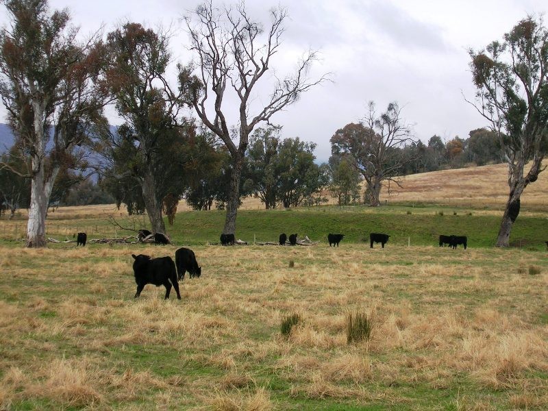 137 Frederic Street Road, Leneva VIC 3691