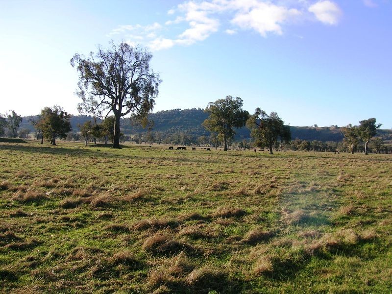 137 Frederic Street Road, Leneva VIC 3691