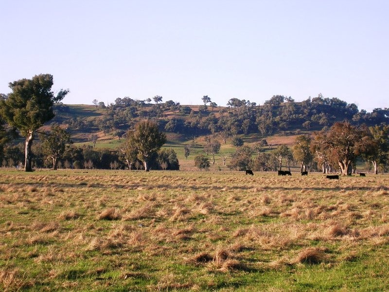 137 Frederic Street Road, Leneva VIC 3691