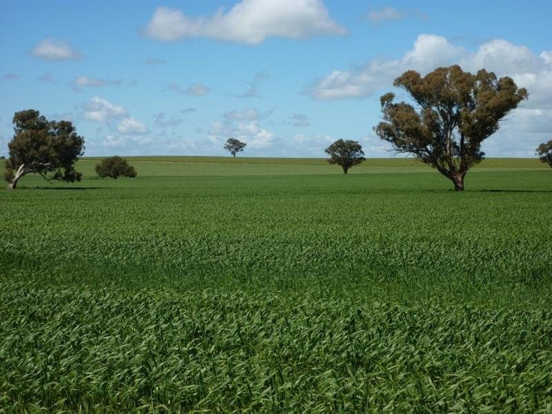 Wagga Wagga NSW 2650