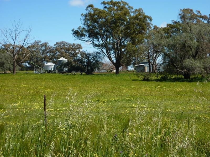 Wagga Wagga NSW 2650